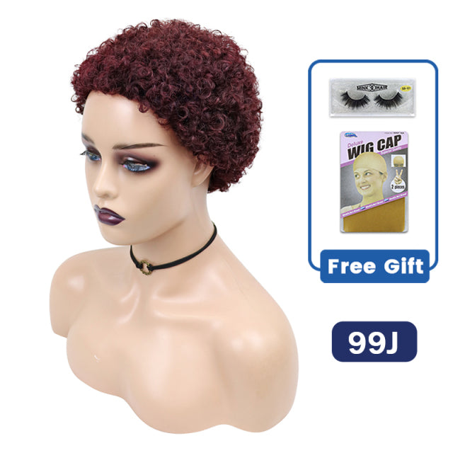 Short Curly Hair Wigs Pixie Cut Brazilian Human Hair For Black Women Natural Black 150% Density Glueless Afro Kinky Curly Wig